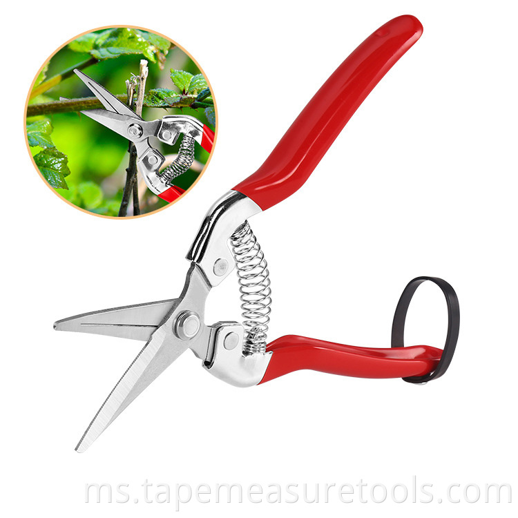 Gunting buah nipis yang lebih murah Gunting berkebun Warna logo yang boleh disesuaikan Gunting cabang halus Gunting pemangkasan